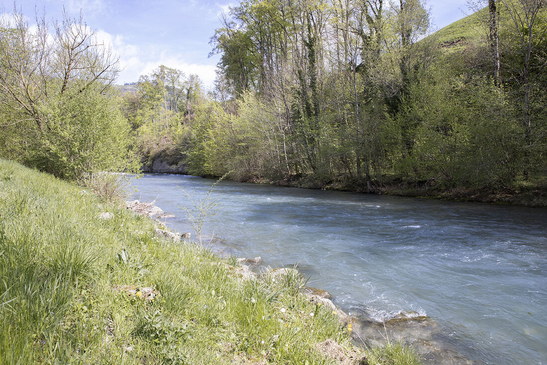 Harmath Treuhand AG am Aawasser in Oberdorf